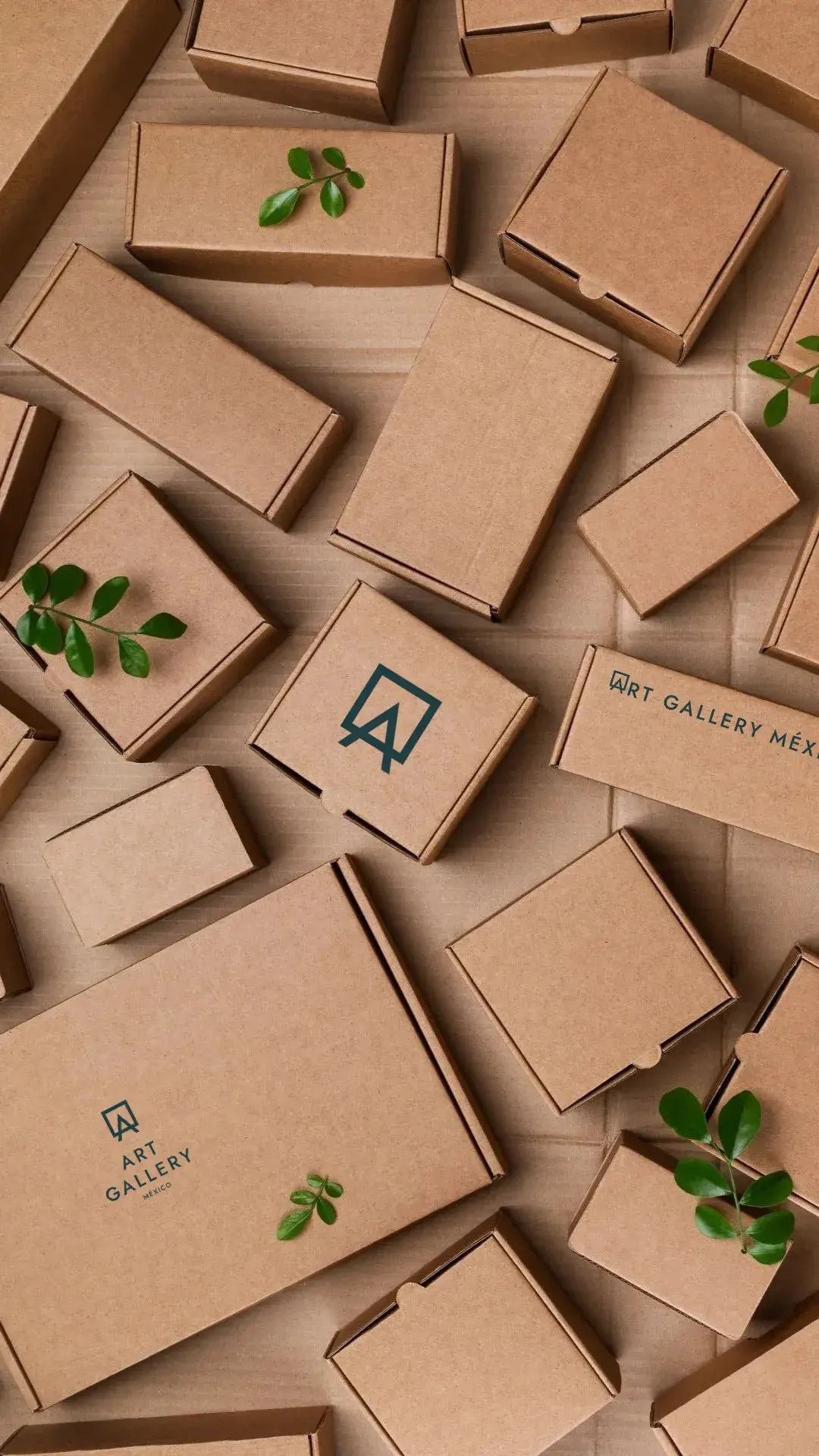 Cajas Envíos